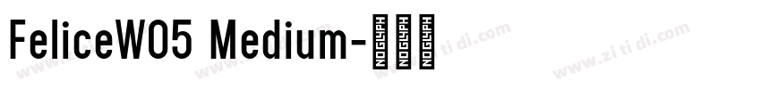 FeliceW05 Medium字体转换